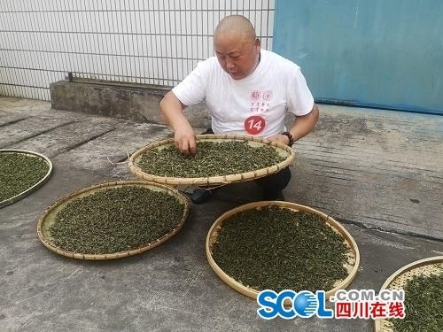 全国茶叶加工工（精制）职业技能竞赛