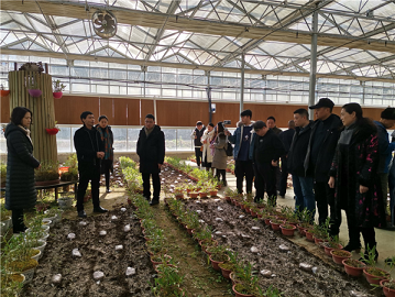 2020川货电商节