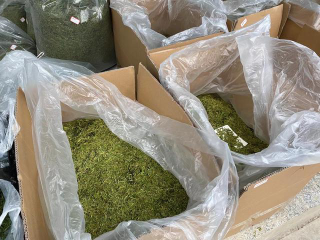 春天观“茶”室｜喝早茶了！茶商茶客汇聚宜宾筠连“川之南”茶城