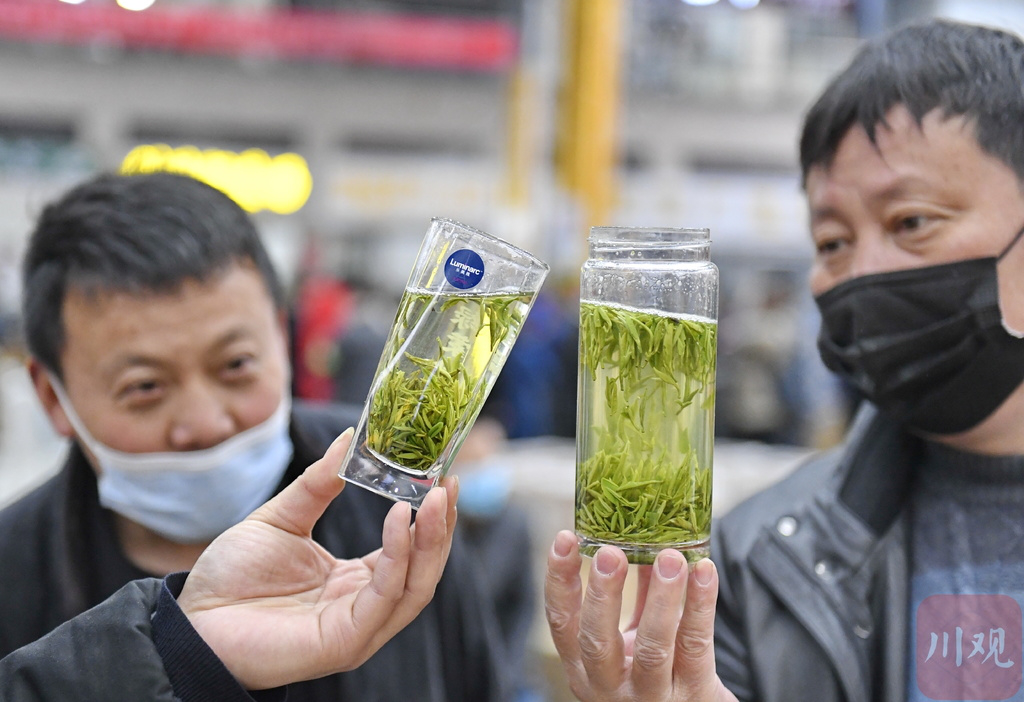 四川雅安第一背篓蒙顶山茶上市 2021春天在“茶海”里“品”清香