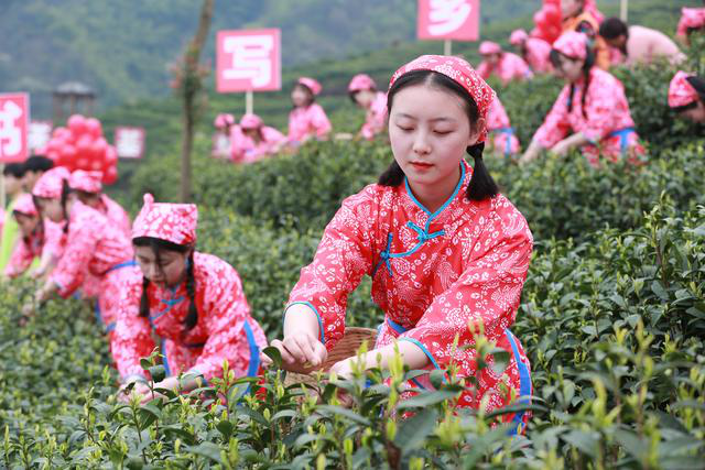 大竹县第五届“喊山开茶文化节”开幕 唢呐吹响乡村振兴新号角