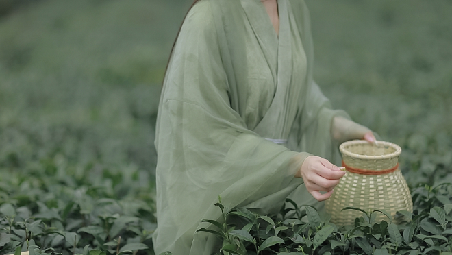 到雅安，品尝“第一背篓茶”的鲜美味道