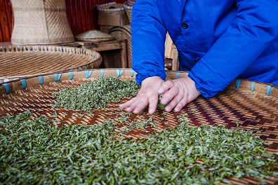 到雅安，品尝“第一背篓茶”的鲜美味道