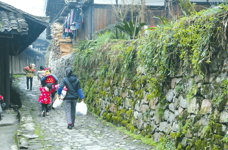 非遗里的川茶 匠心守护茶香蜀韵