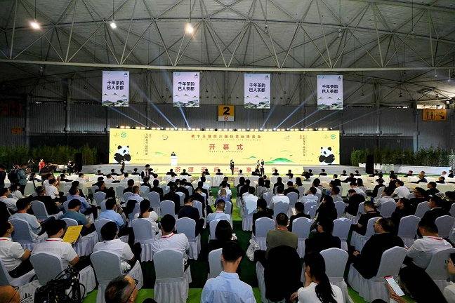 第13届四川国际茶博会开幕，参展产茶县创历届新高